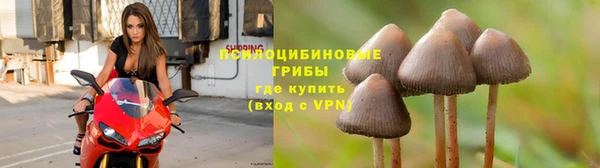 марихуана Арсеньев