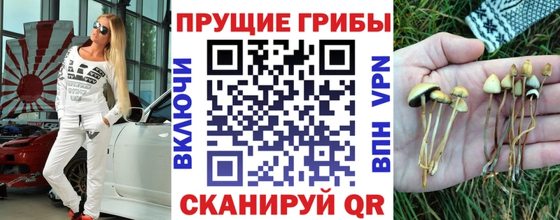 Псилоцибиновые грибы Magic Shrooms  купить наркоту  Оханск 